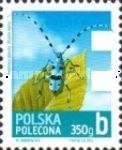 Rosalia Longicorn (Rosalia alpina)