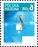 Water Strider (Gerris paludum)