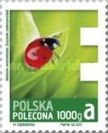 Seven-Spot Ladybird (Coccinella septempunctata)