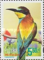 European Bee-eater (Merops apiaster)