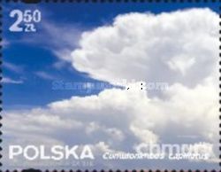 Cumulonimbus capillatus