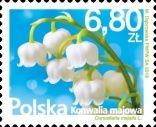 Flowers : Lily of the Valley (Convallaria majalis)