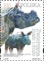 Indian Rhinoceros (Rhinoceros unicornis)