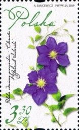 Clematis Varieties of Poland