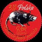Year of the Rat 2020