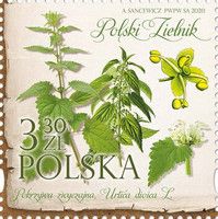 Stinging Nettle (Urtica dioica)