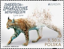 Europa (C.E.P.T.) 2021 - Eurasian Lynx (Lynx lynx)