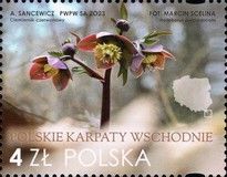 The Eastern Carpathians of Poland