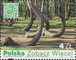 Crooked Forest, Nowe Czarnowo