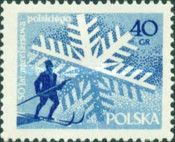 Skier (end 19th century) in front of ice crystal