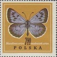 Large Blue (Maculinea arion)