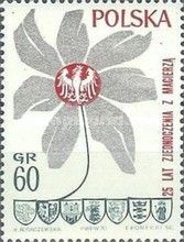 Flower, Eagle and Coat of Arms of 7 Cities