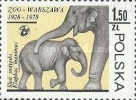 Asian Elephant (Elephas maximus)
