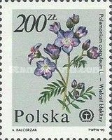 Jacob's Ladder (Polemonium coeruleum)