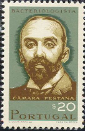 Câmara Pestana (1863-1899) bacteriologist