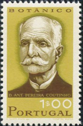 Antonio Xavier Pereira Coutinho (1851-1939) botanist
