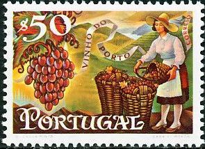 Grapes and woman filling baskets
