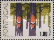 Trees tapped for Resin