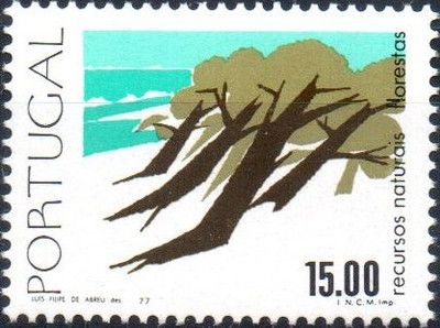 Trees at seashore as windbreakers