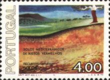 Red Mediterranean Soil