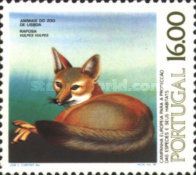 Red Fox (Vulpes vulpes)