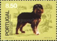 Portuguese Shepherd (Canis lupus familiaris), Serra de Aires