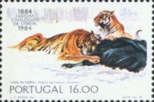Siberian Tiger (Panthera tigris altaica)