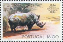 White Rhinoceros (Ceratotherium simum)