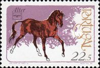 „Alter“ (Equus ferus caballus)