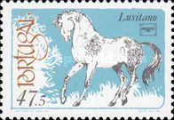 „Lusitano“ (Equus ferus caballus)