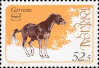 „Garrano“ (Equus ferus caballus)