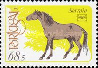 „Sorraia“ (Equus ferus caballus)