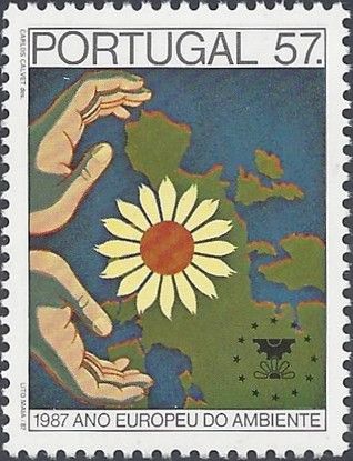 European Environment Year