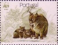 Iberian Lynx (Lynx pardinus)