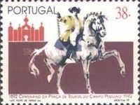 Bullfighter on horse