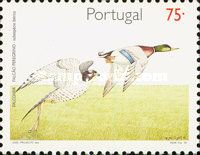 Peregrine Falcon (Falco peregrinus), Mallard (Anas platyrhyn