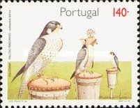 Peregrine Falcon (Falco peregrinus) on raised Hide