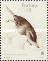 Pyrenean Desman (Galemys pyrenaicus)