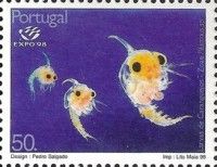 Crab (Pilumnus hirtellus), Plankton