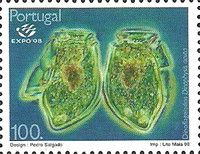 Flagellated Plankton (Dinophysis acuta)