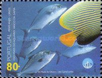 Emperor Angelfish (Pomacanthus imperator)
