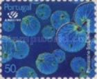 Sea Sparkle (Noctiluca miliaris)