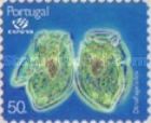 Flagellated Plankton (Dinophysis acuta)