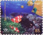 Anemonefish (Amphiprion sp.)