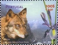 Iberian Wolf (Canis lupus signatus), Peneda-Gerês National P