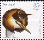Great Crested Grebe (Podiceps cristatus)