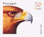 Golden Eagle (Aquila chrysaetos)
