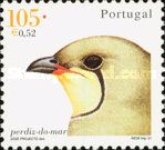 Collared Pratincole (Glareola pratincola)