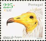 Egyptian Vulture (Neophron percnopterus)