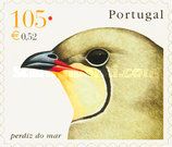 Collared Pratincole (Glareola pratincola)